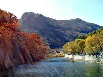 新澳天天开奖资料大全旅游团，乐器架